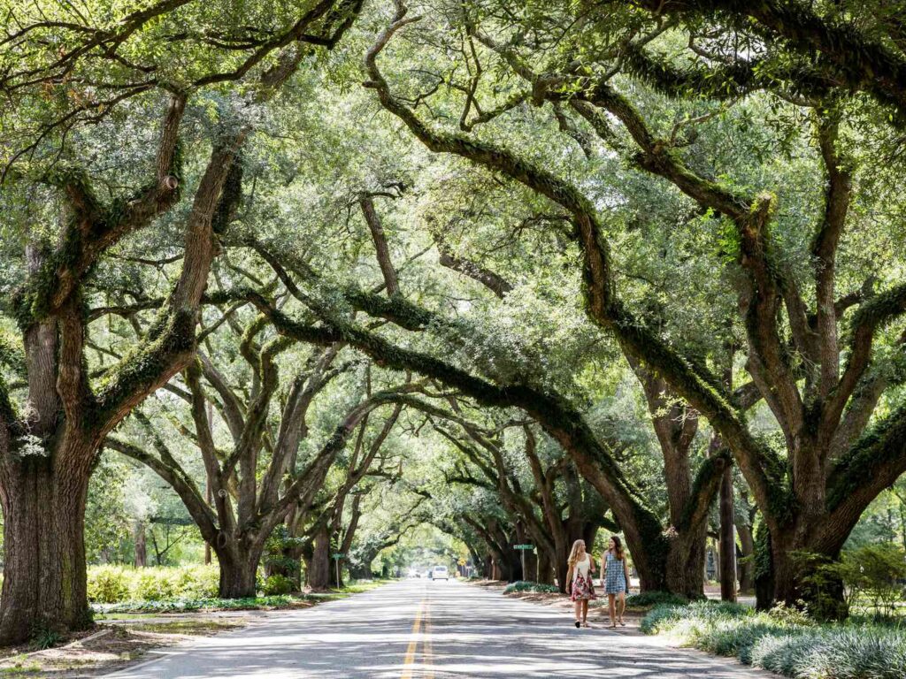 Aiken